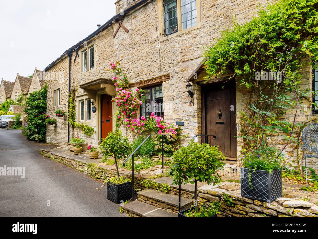 Vordertür und rosa Rosen in einem Cottage in Castle Combe, einem malerischen Dorf in der Cotswolds-Gegend von Natural Beauty in Wiltshire, Südwestengland Stockfoto