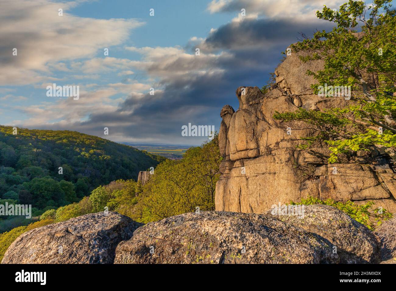 Erleben Sie Naturwanderungen im Harz-Bode-Tal Stockfoto