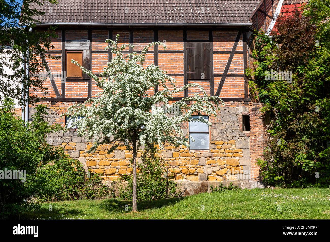Bilder aus der historischen Quedlinburg Stockfoto