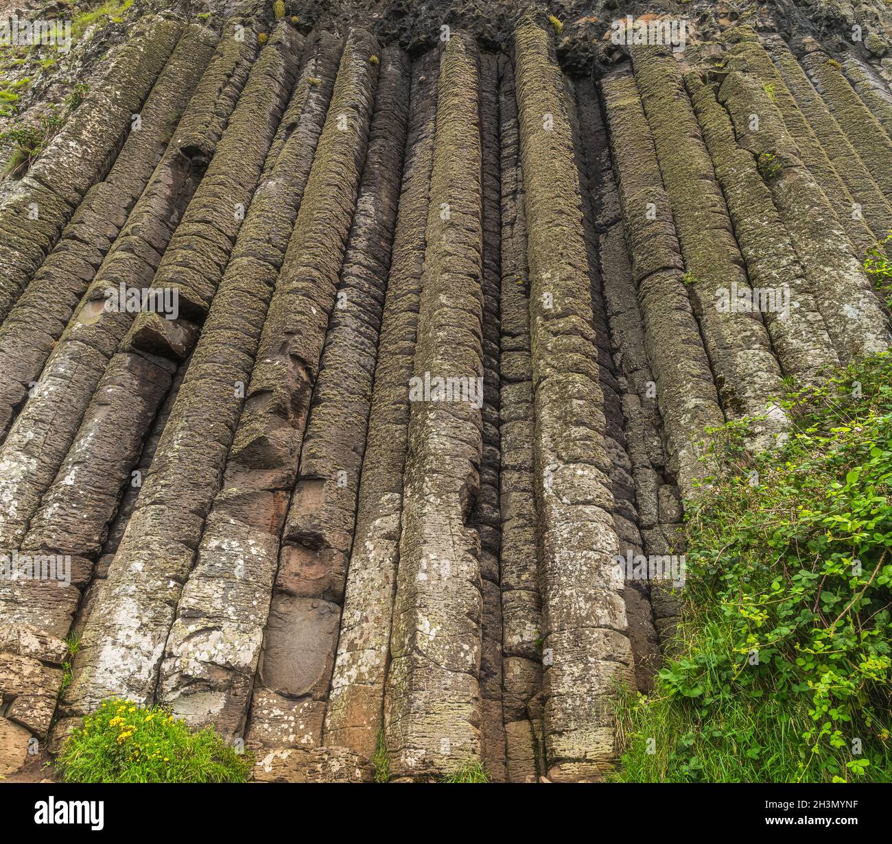 Nahaufnahme der sechseckigen Felsformation, des Amphitheaters in Giants Causeway, des Wild Atlantic Way und des UNESCO-Weltkulturerbes Nordirland Stockfoto