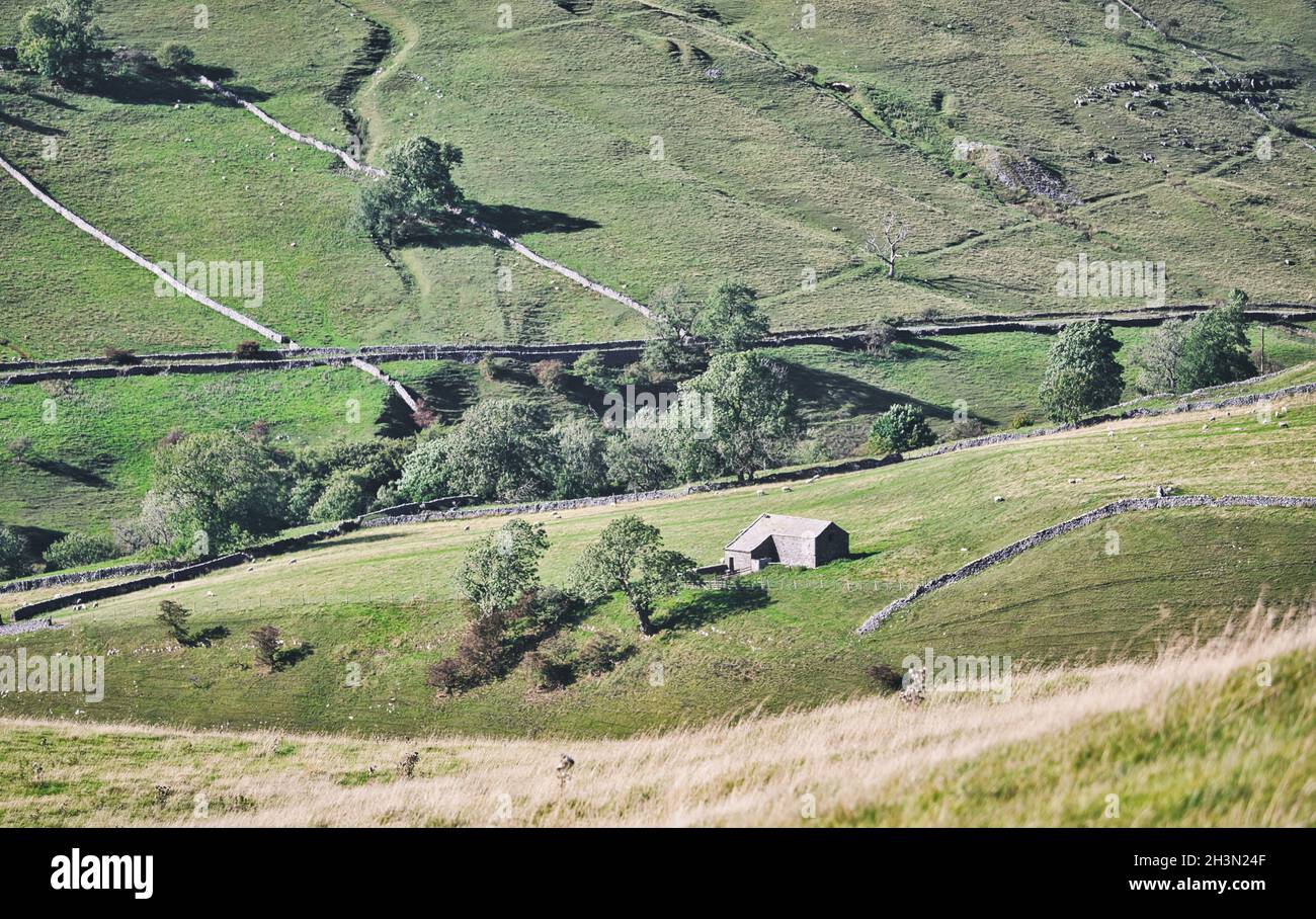 Zerklüftete, hügelige Farmlandschaft mit Trockenmauern, Yorkshire Dales National Park, Wharfedale, North Yorkshire, England Stockfoto