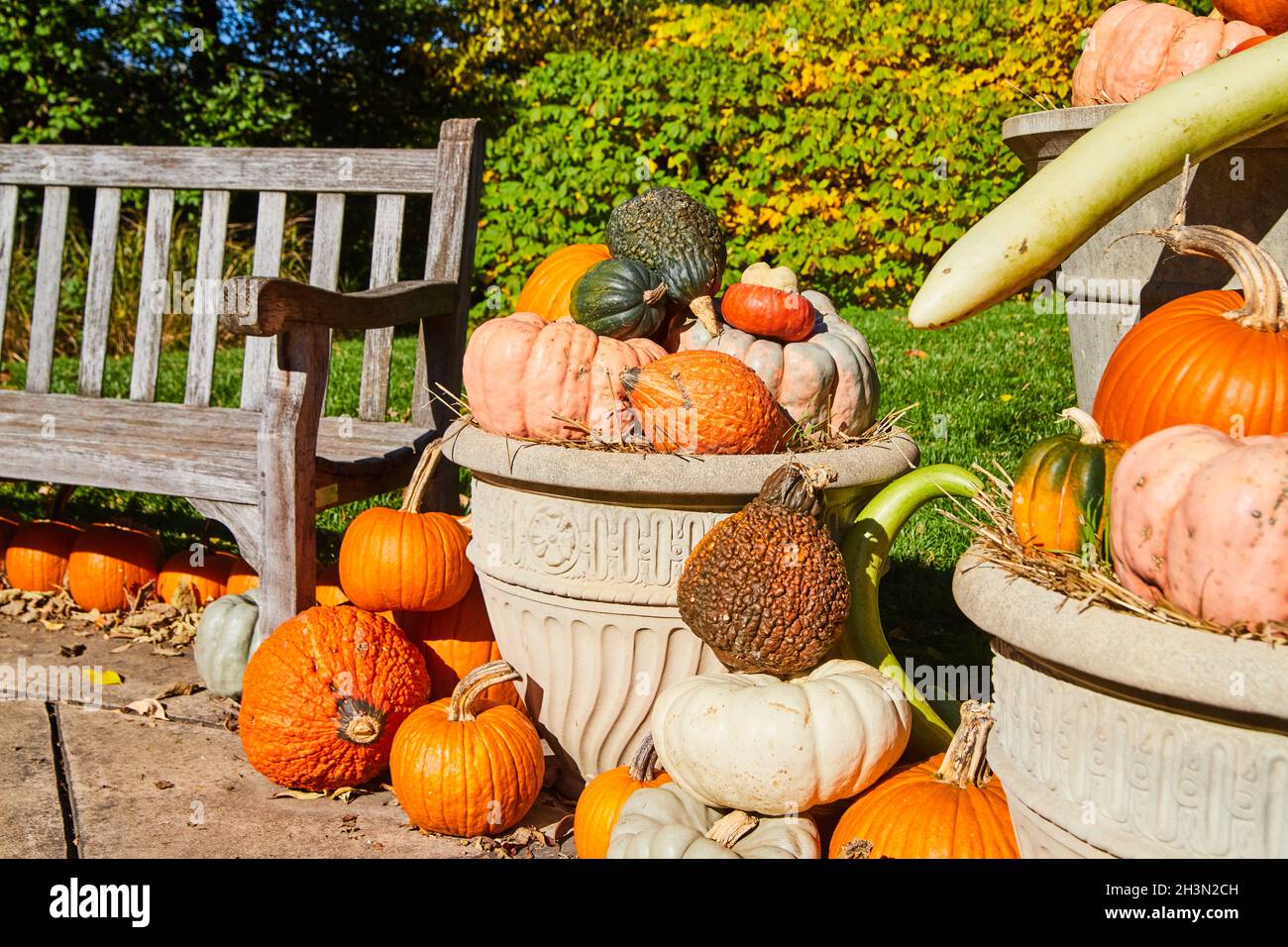 Dekorative Kürbisse im Herbst-Setting neben der Bank Stockfoto