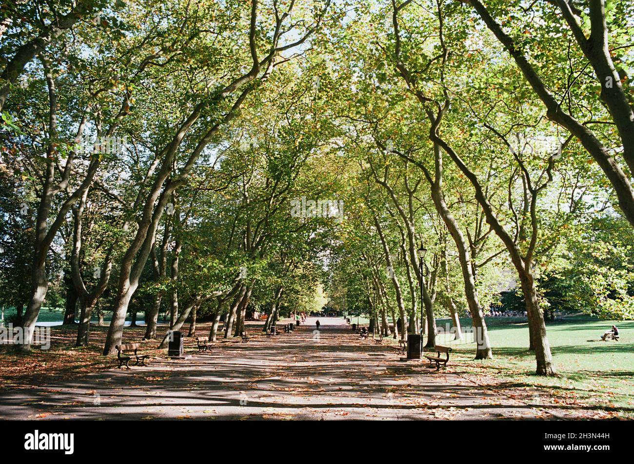 Grand Central Walk, Crystal Palace Park, im Londoner Stadtteil Bromley, Südostengland, im Oktober Stockfoto