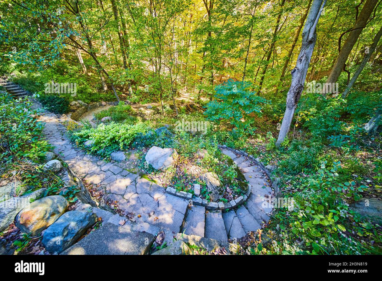 Steinstufen und Steingarten im Wald im Herbst Stockfoto