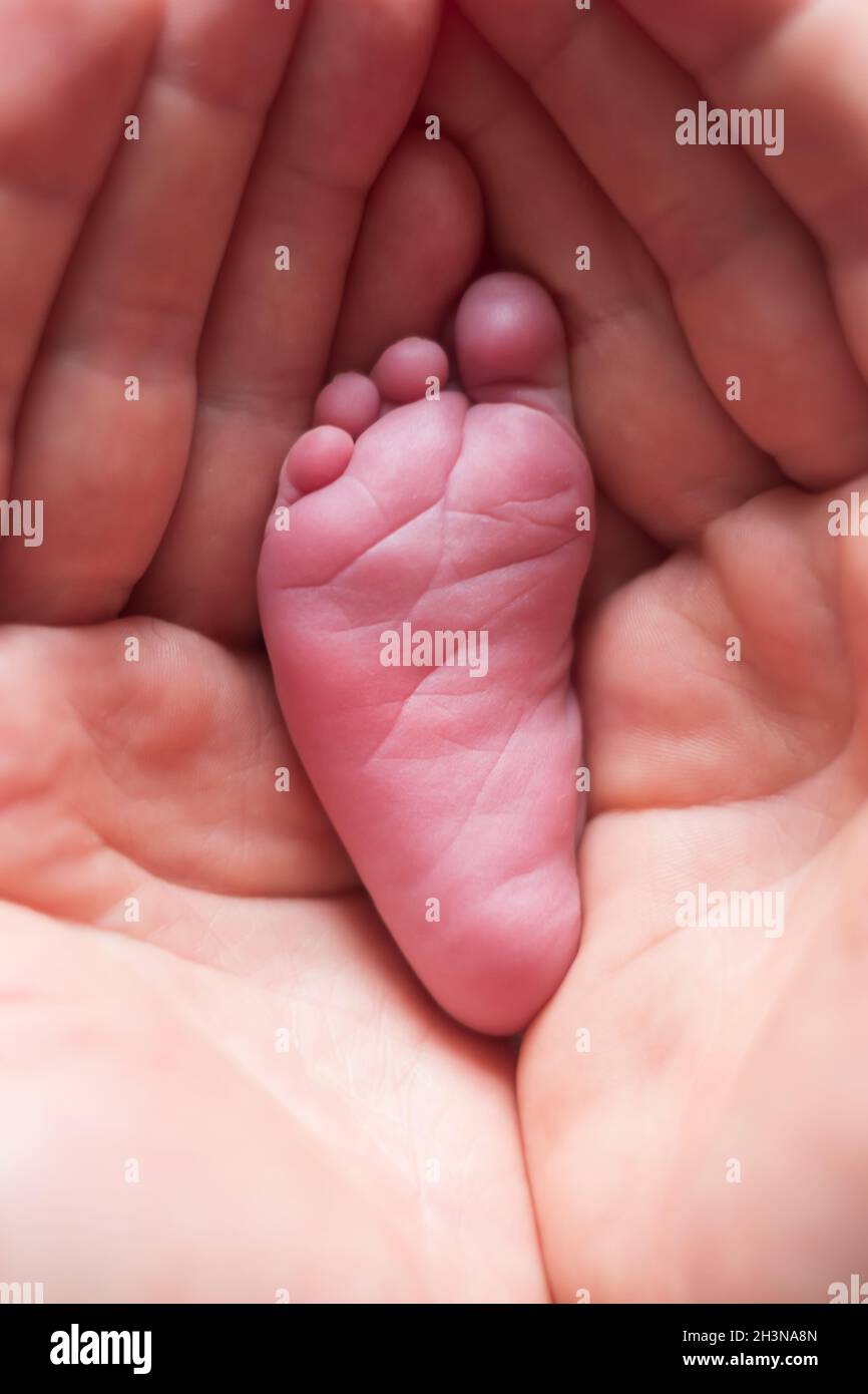 Elternteil hält einen kleinen Fuß seines Neugeborenen. Stockfoto