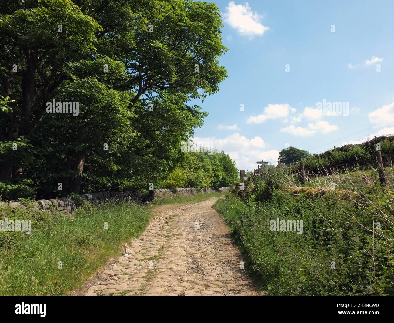 Perspektivischer Blick auf eine schmale gepflasterte Landstraße, umgeben von Steinmauern, Gras und Bäumen in der Landschaft von West yorkshire wi Stockfoto