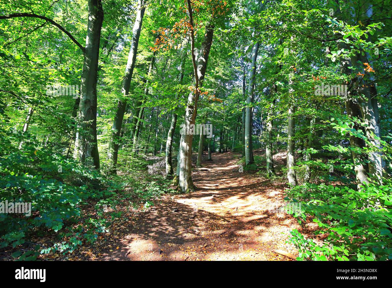 Emmendorf Fotos und Bildmaterial in hoher Auflösung Alamy