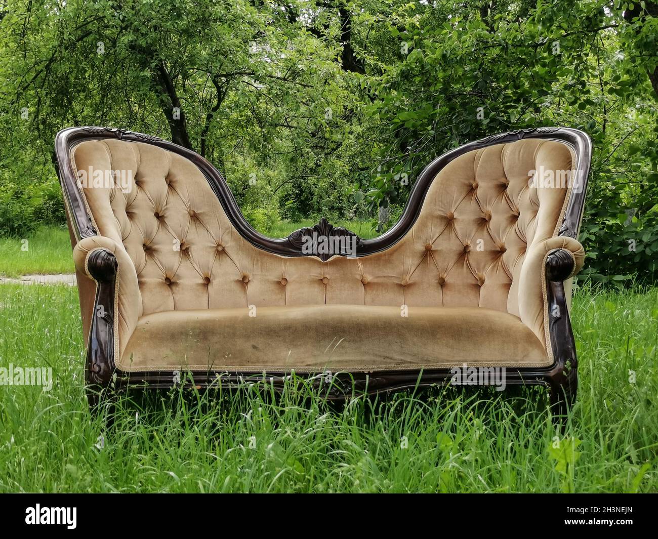 Luxus Vintage-Sofa auf grünem Gras im Garten. Frühling. Vorderansicht Stockfoto