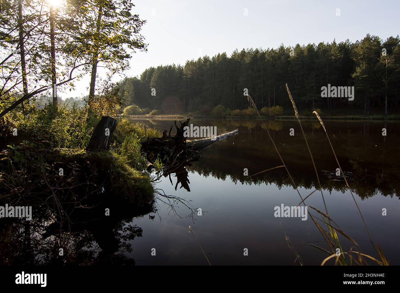 Seen im Herbstwald. Wald Herbstlandschaft, schöne Natur. Stockfoto