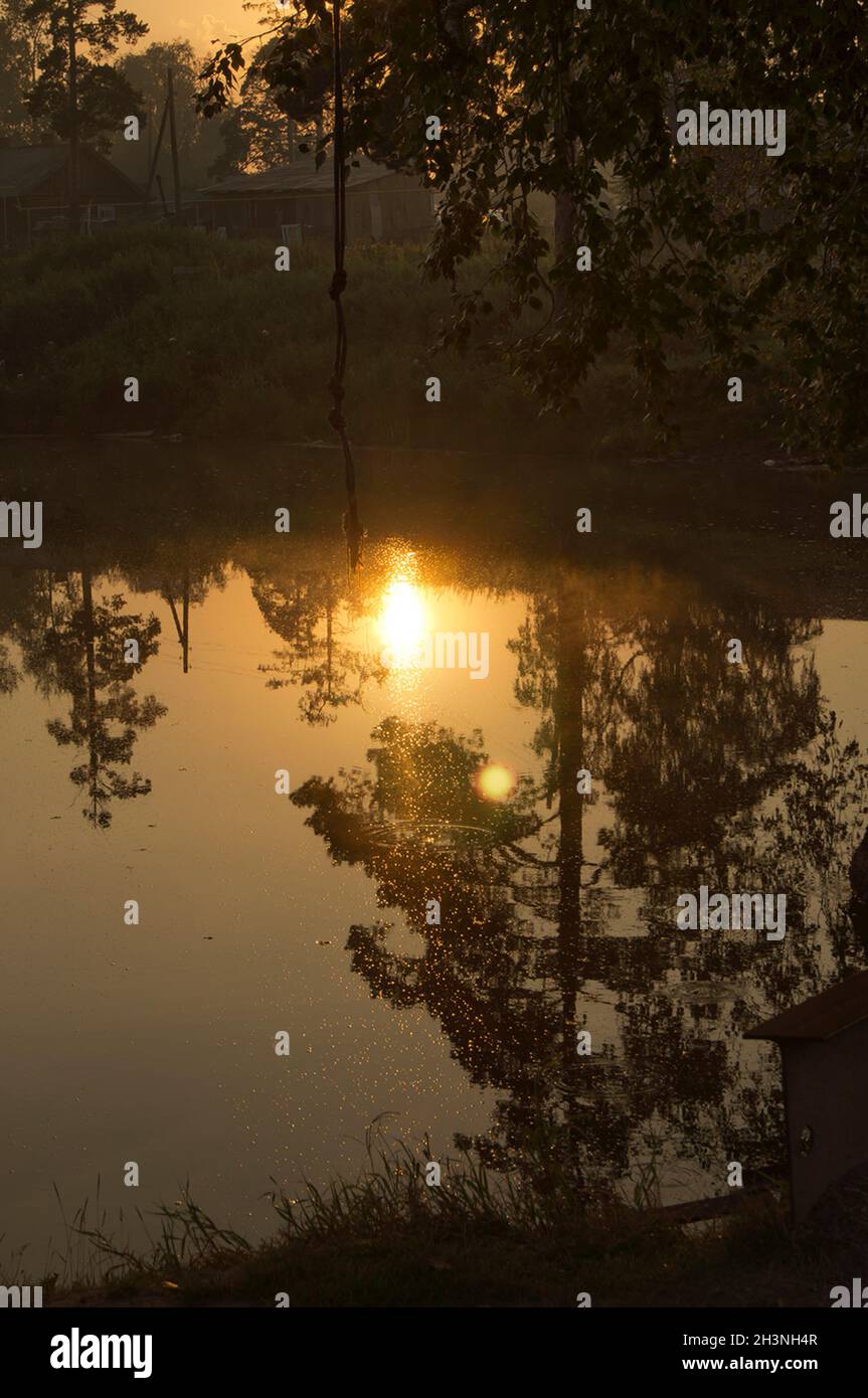 See bei Sonnenuntergang, Küstengras und Bäume. Licht des Sonnenuntergangs über dem Wasser. Stockfoto
