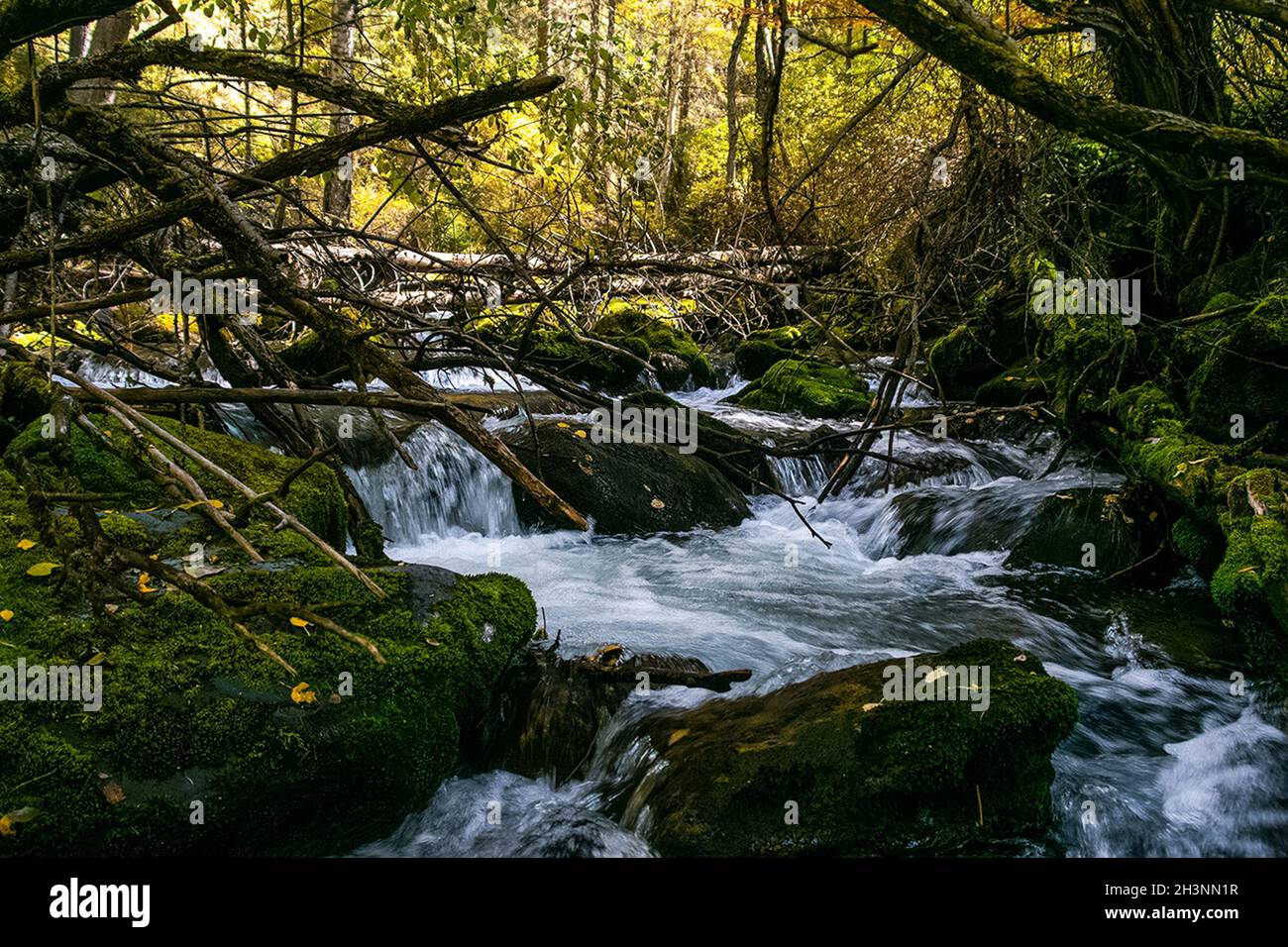 Der Gebirgsfluss fließt über die Felsen. Die Flüsse sind altai. Die Natur ist altai. Stockfoto