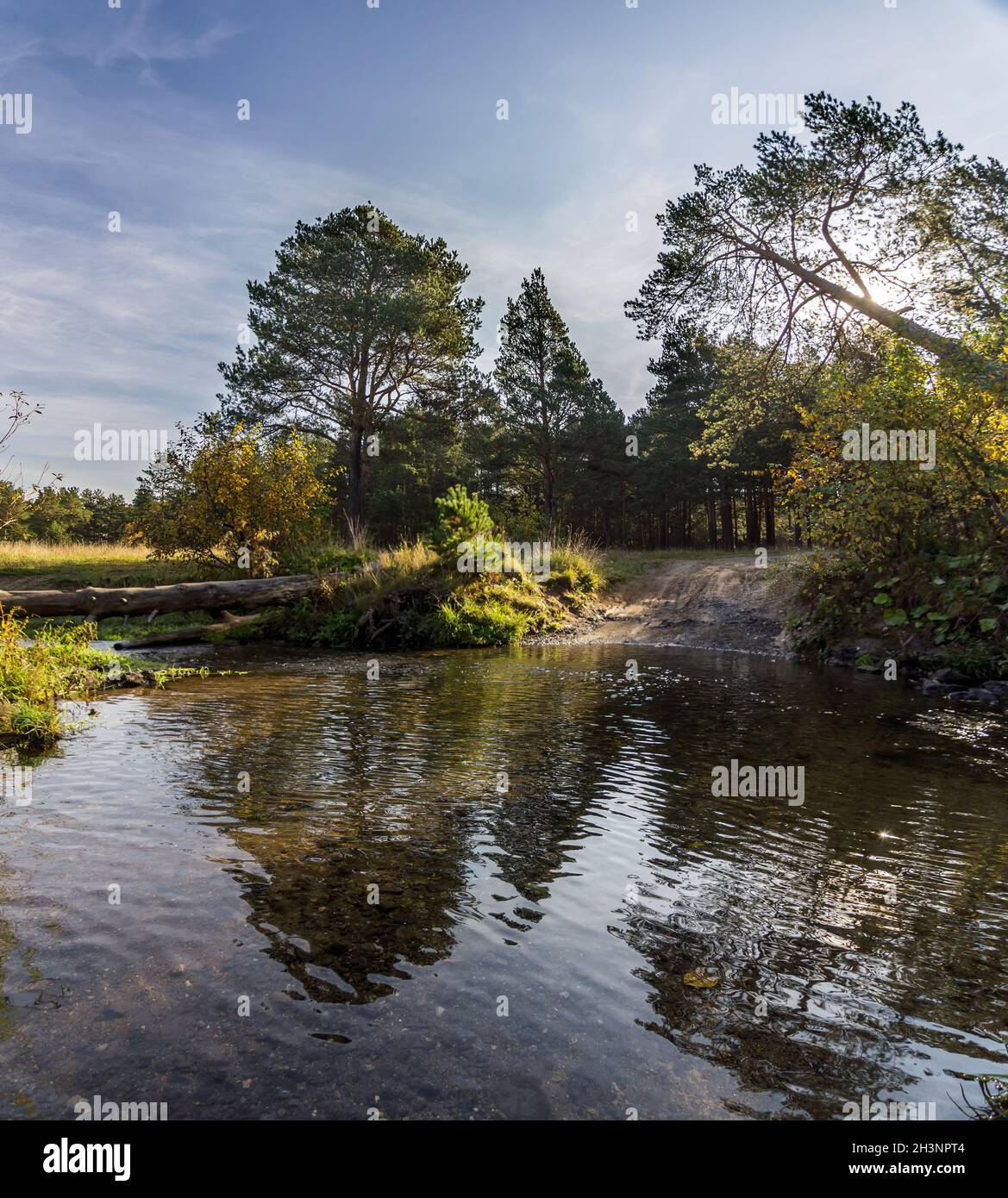 Seen im Herbstwald. Wald Herbstlandschaft, schöne Natur Stockfoto