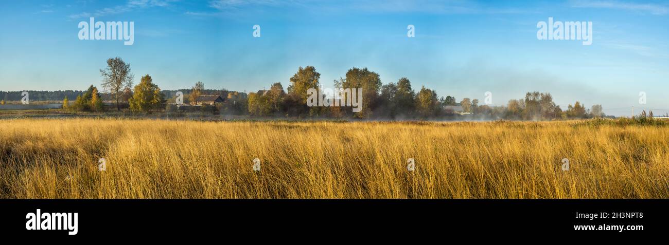 Naturlandschaft ist Wald und Gras. Wunderschön Stockfoto