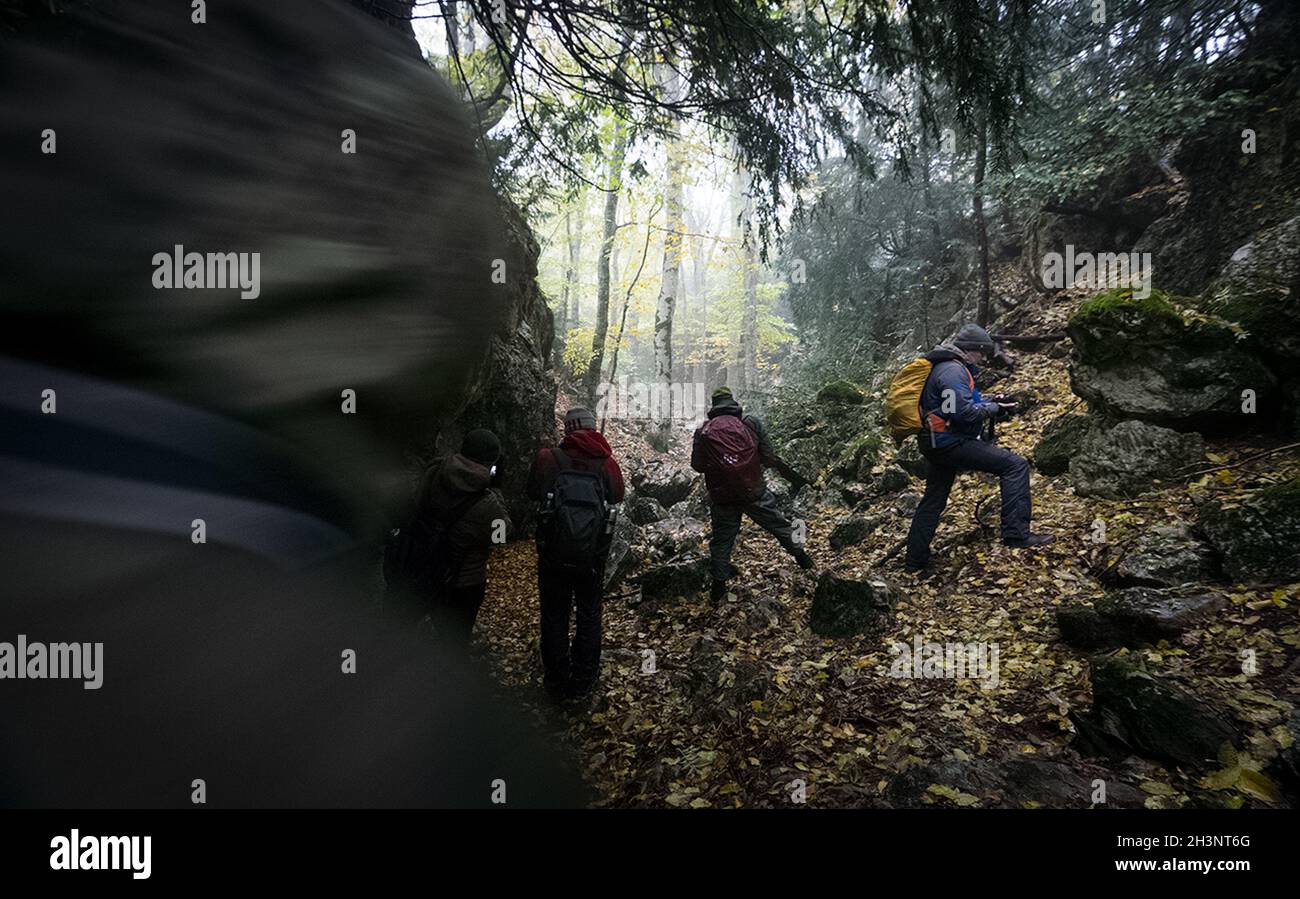 Touristen wandern im Herbstwald entlang des Weges. Touristische Reise in den Wäldern der Krim. Stockfoto