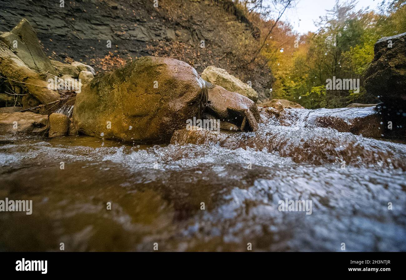 Berg kleiner Fluss im Wald mit Stromschnellen und Wasserfällen. Ein Waldbach. Stockfoto