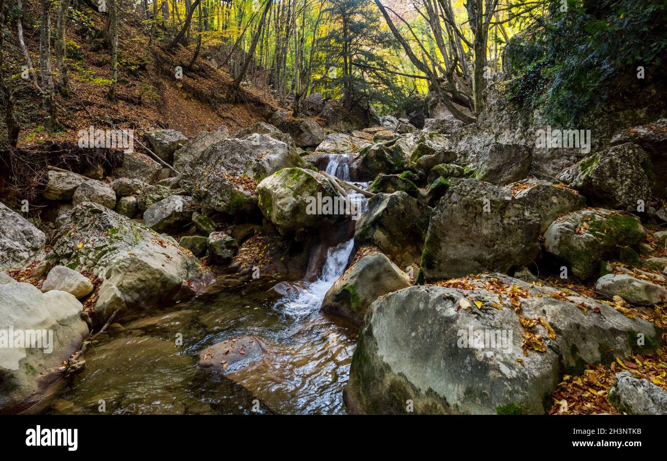 Berg kleiner Fluss im Wald mit Stromschnellen und Wasserfällen. Ein Waldbach. Stockfoto
