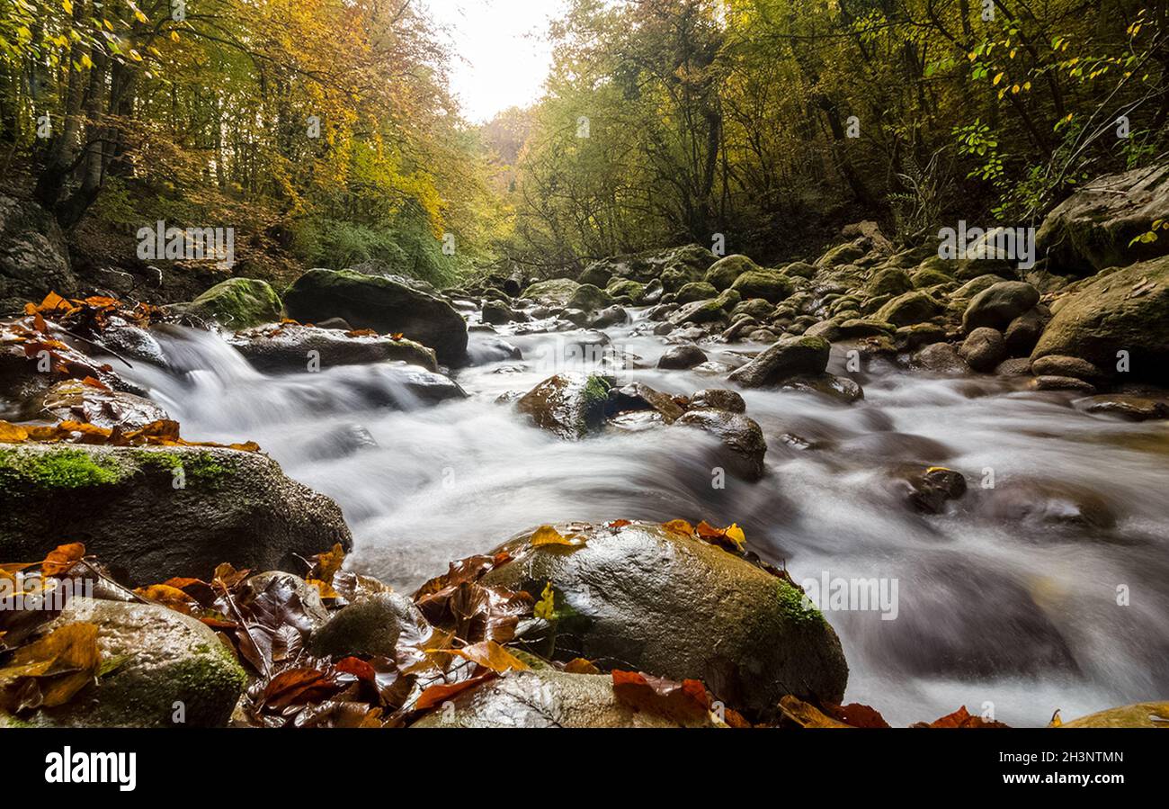 Berg kleiner Fluss im Wald mit Stromschnellen und Wasserfällen. Ein Waldbach. Stockfoto