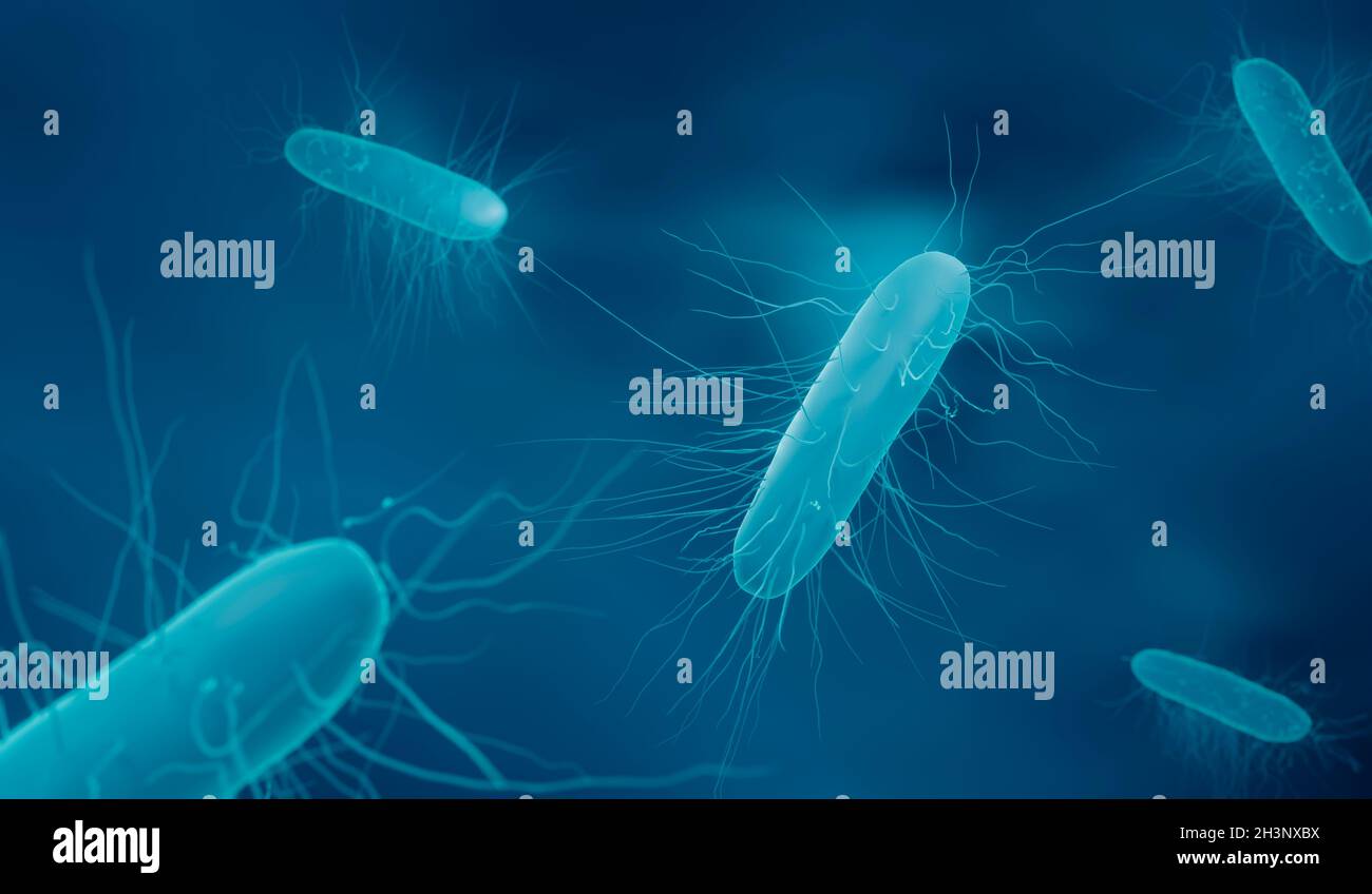 Clostridium difficle-Bakterien, Abbildung Stockfoto