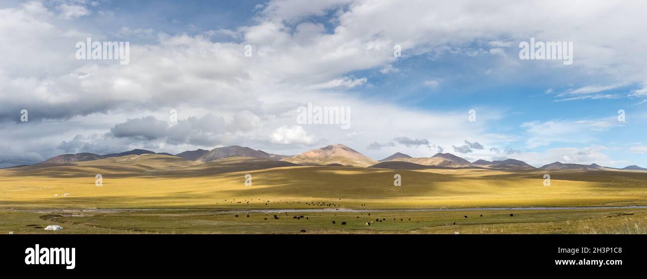 Herbstweidelandschaft Stockfoto