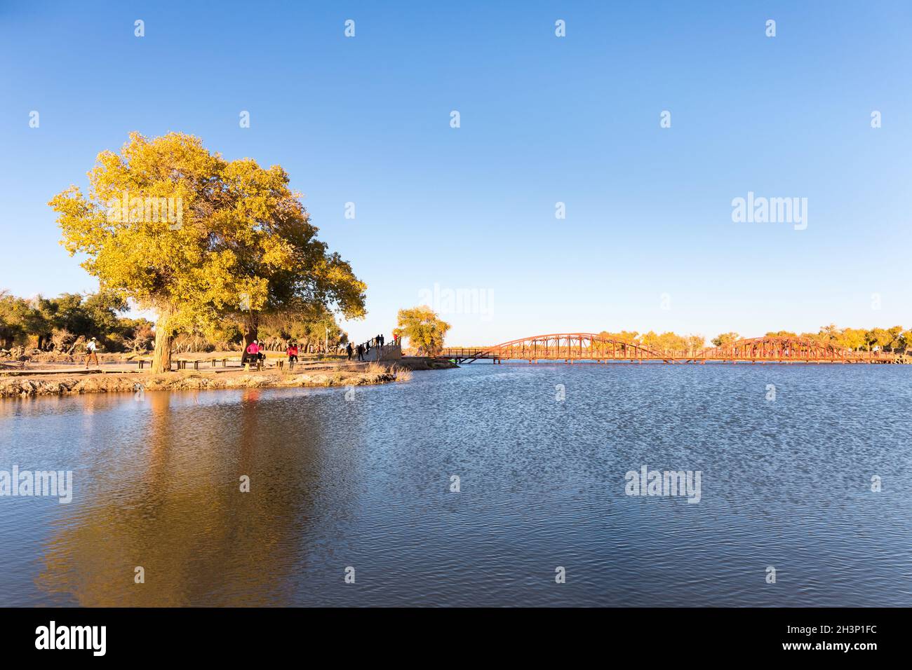 Ejina Landschaft im Herbst Stockfoto