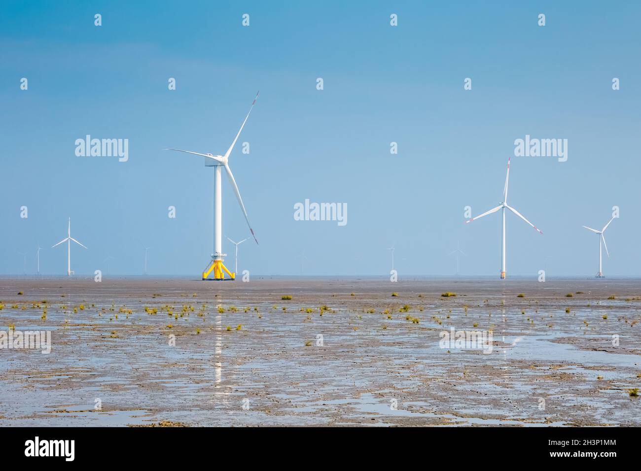 Windpark auf flachem Feuchtgebiet Stockfoto