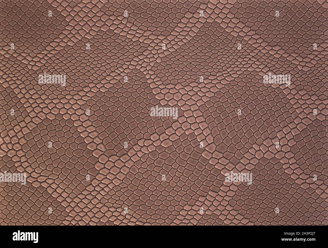 Hellbrauner Leder Textur Hintergrund mit Muster, Nahaufnahme. Reptilienhaut. Beigefarbene Haut eines Krokodils oder einer Schlange mit Vignette. Stockfoto