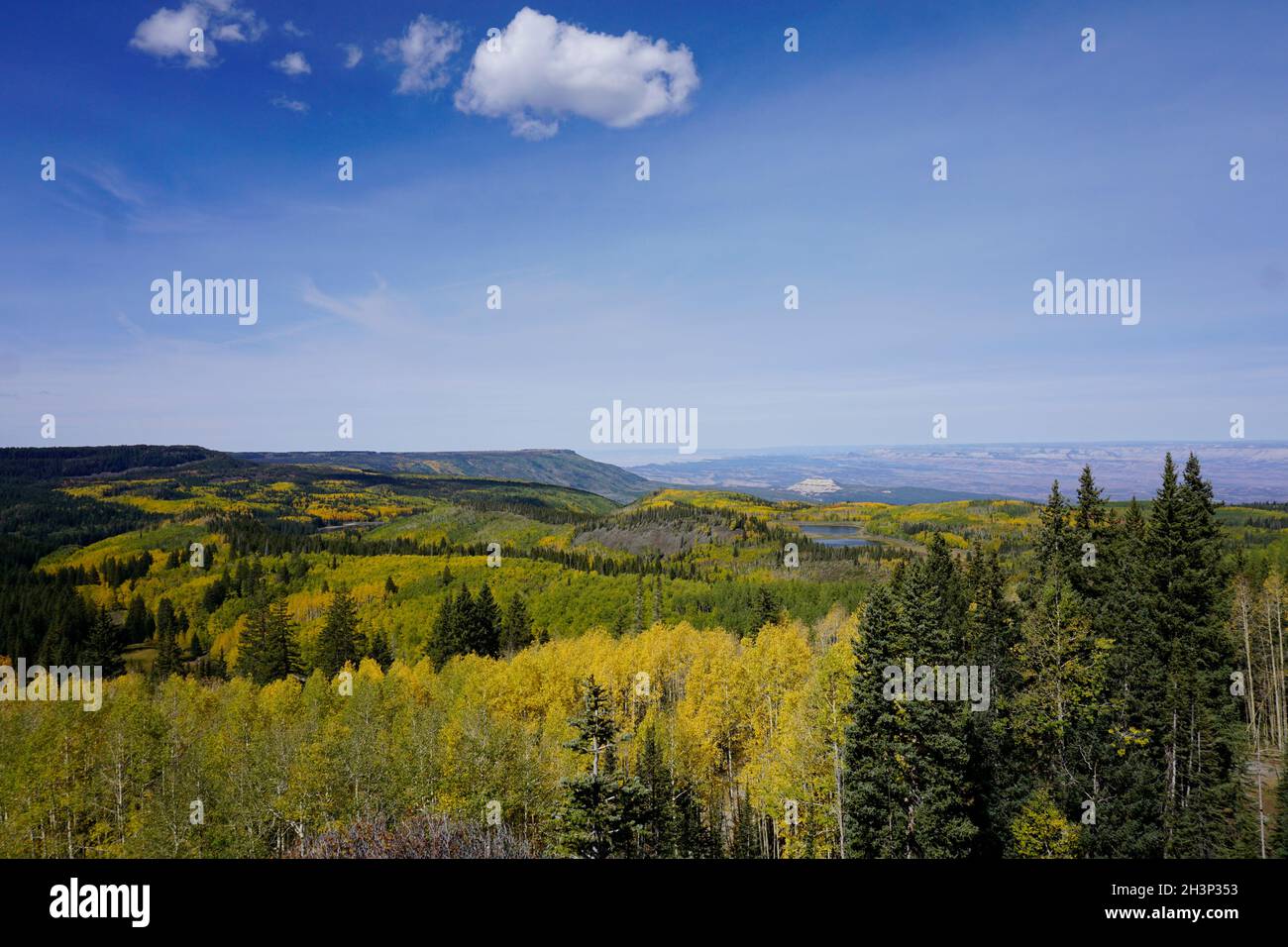 Wunderschöne aussicht auf die Herbstfarben im Grand Mesa National Forest Stockfoto