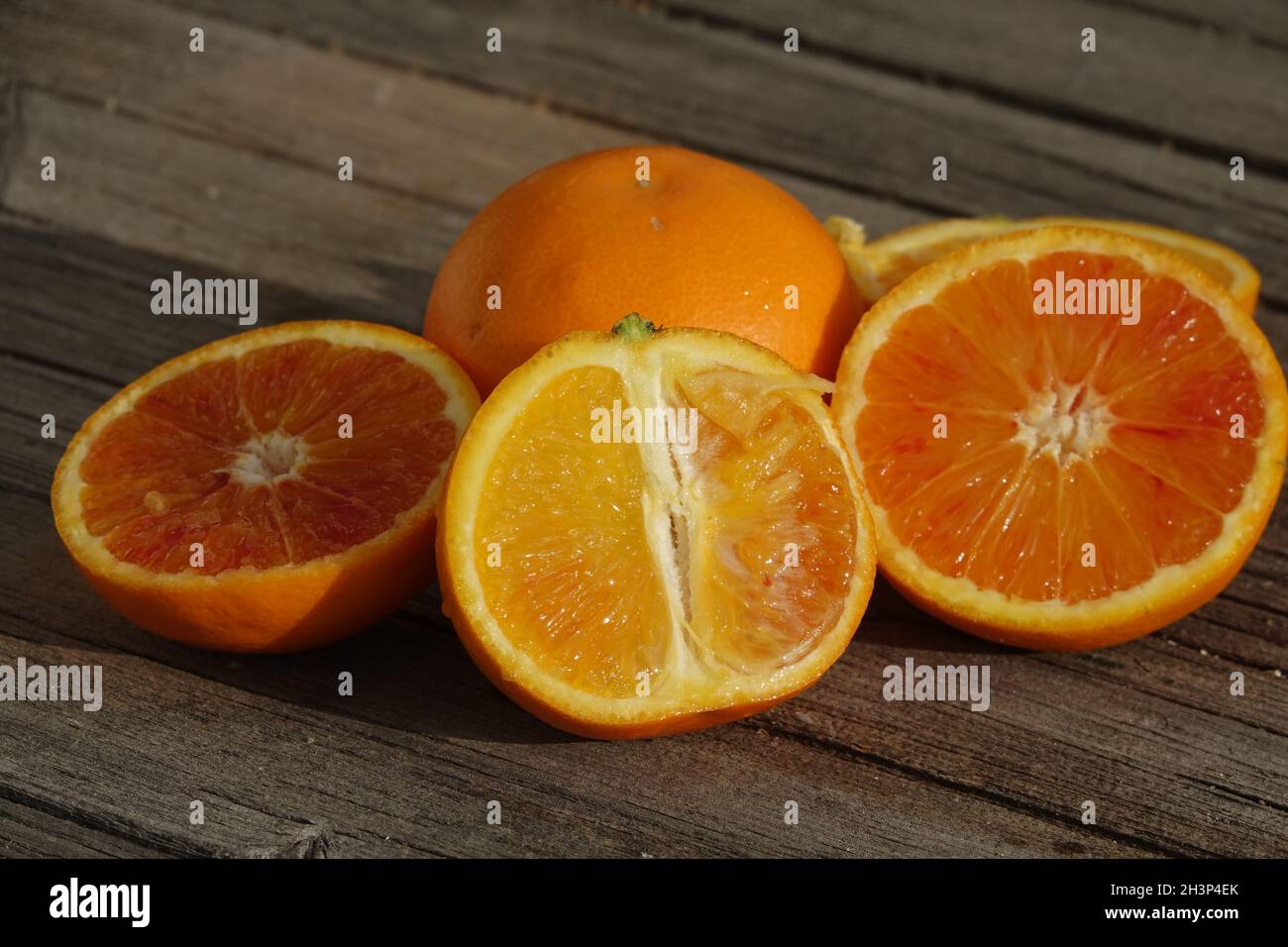 Citrus x sinensis Tarocco, Halbblutorange Stockfoto