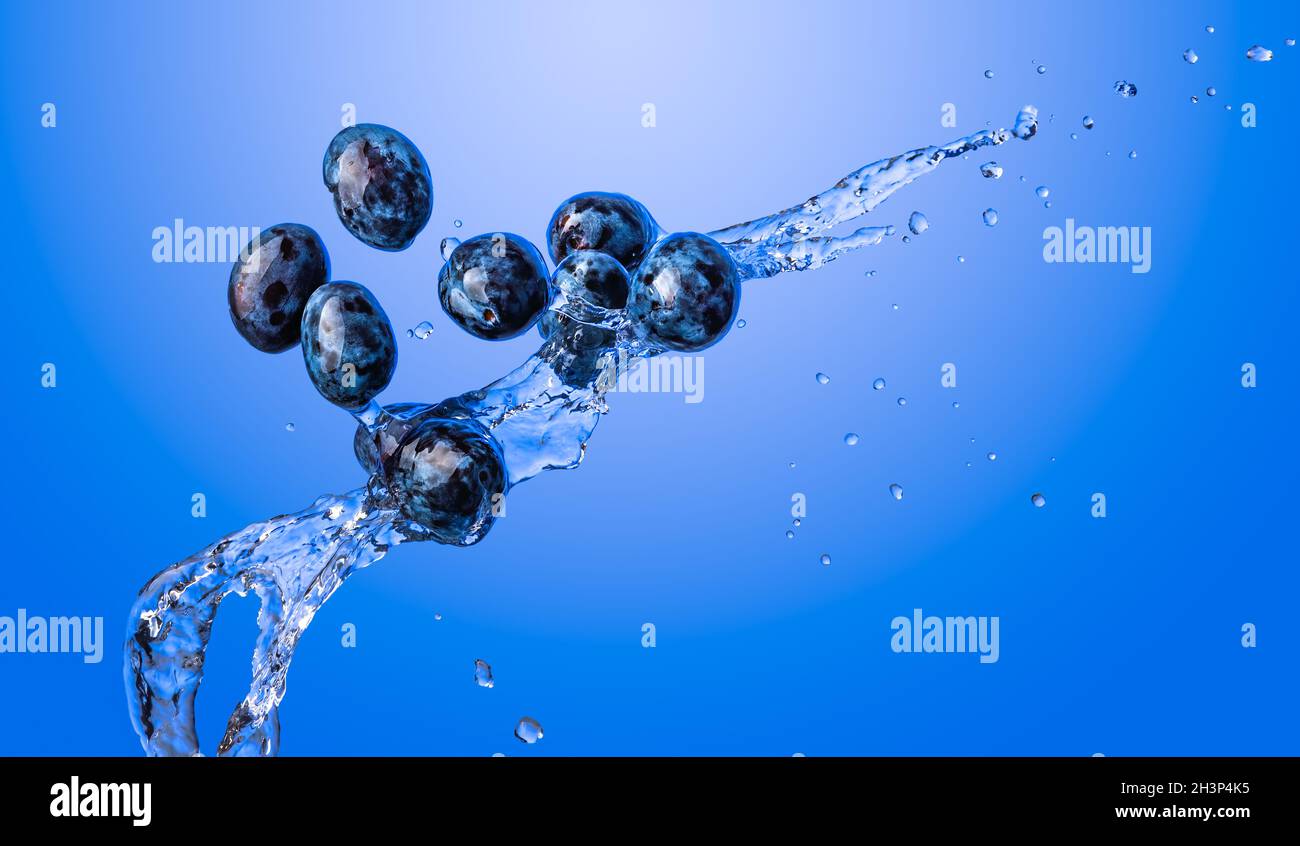 Isolierter Schuss von Pflaumen, die mit Wasser spritzen, isoliert auf blauem Hintergrund. Stockfoto