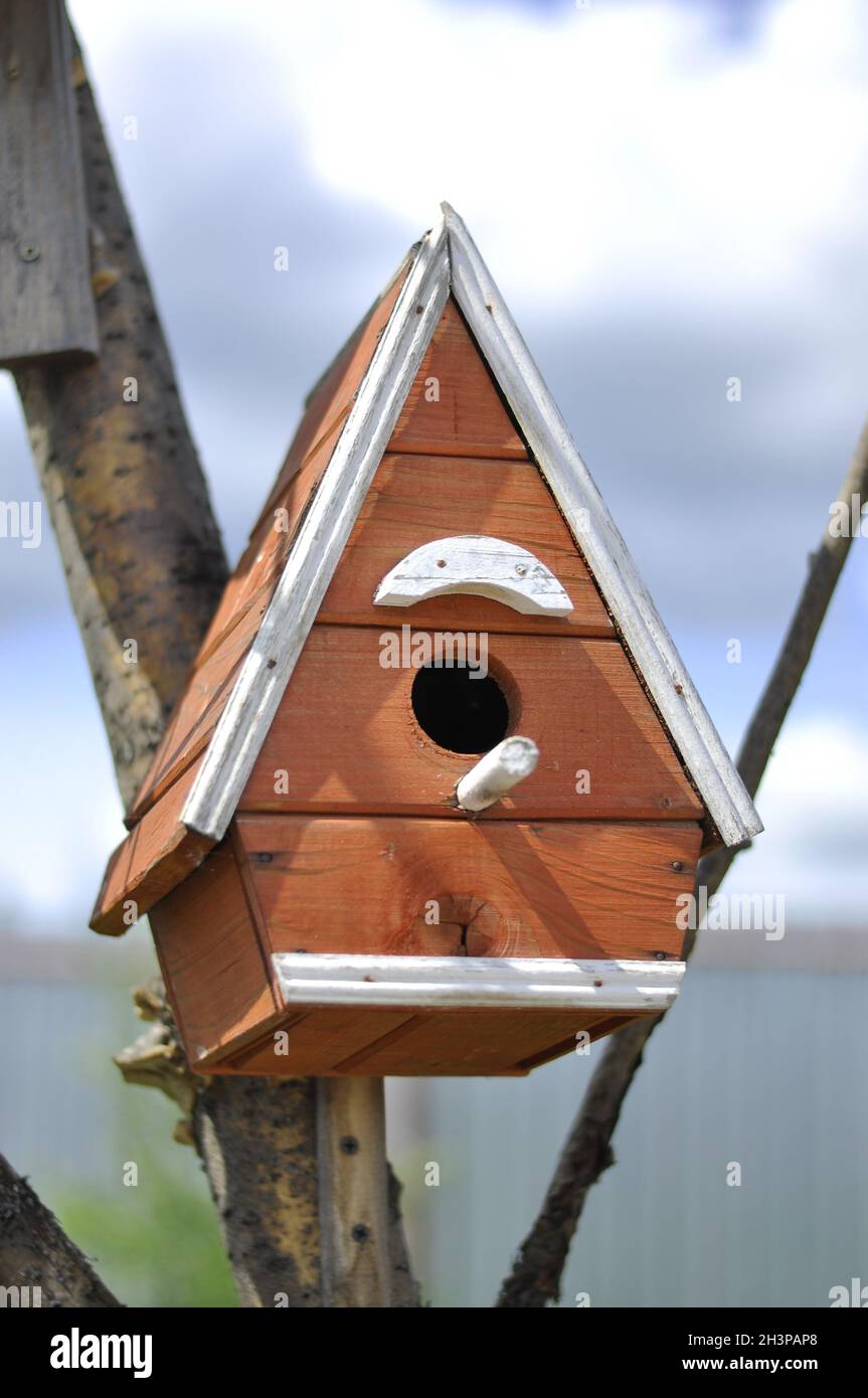 Vogelhaus aus Holz. Ein Haus für Vögel Stockfoto