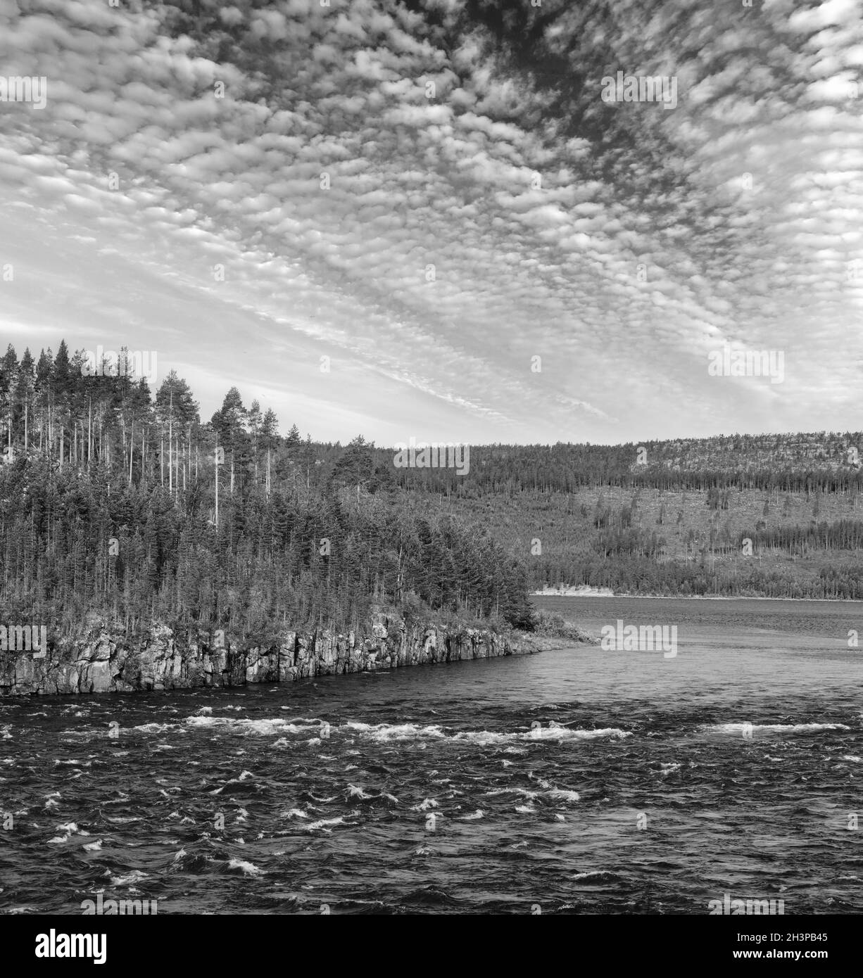 Graustufen. Ein Fluss in Schweden im Sommer. Stockfoto