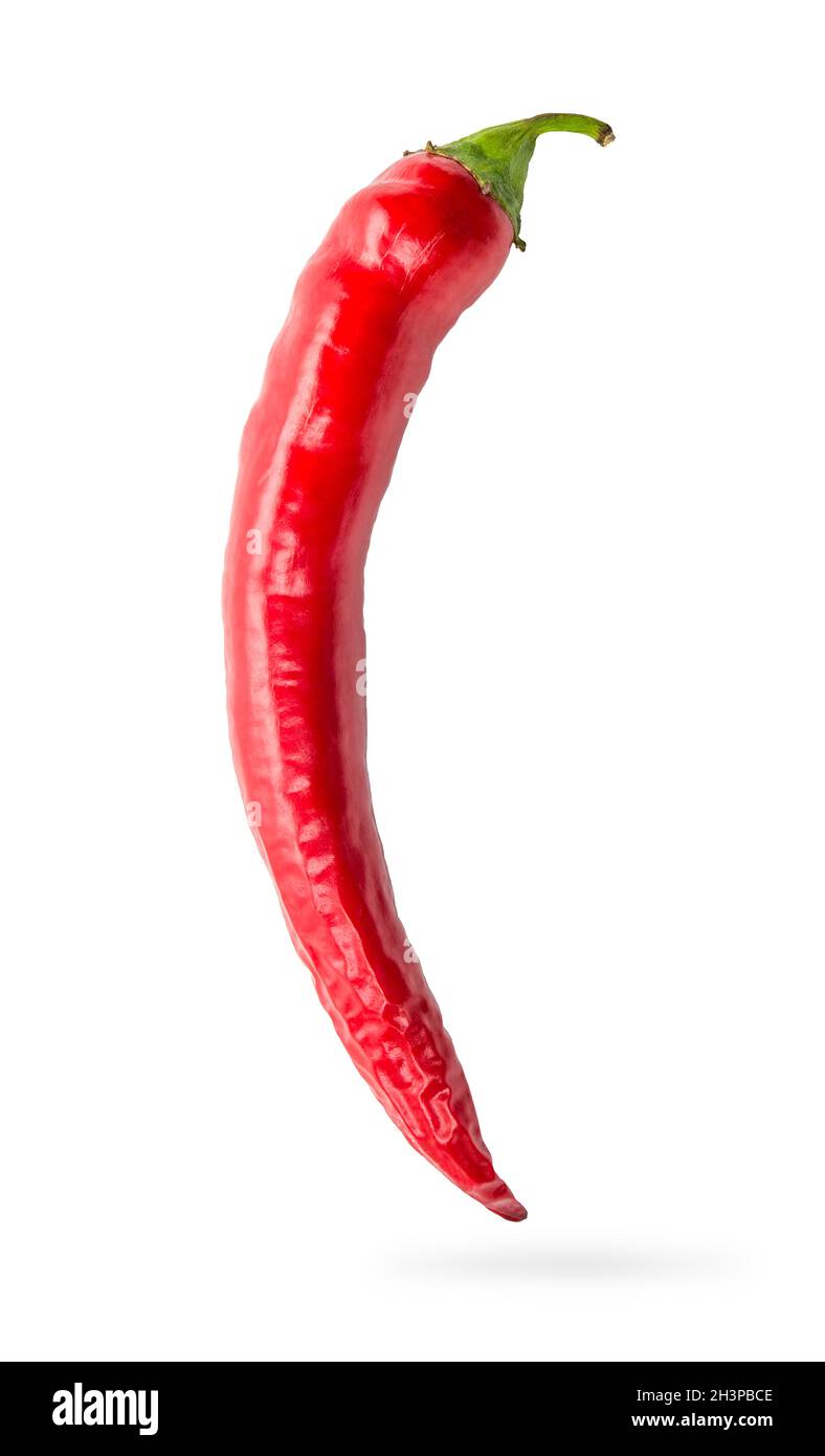 Reife Chilischote Stockfoto Reife Chilischote Stockfoto