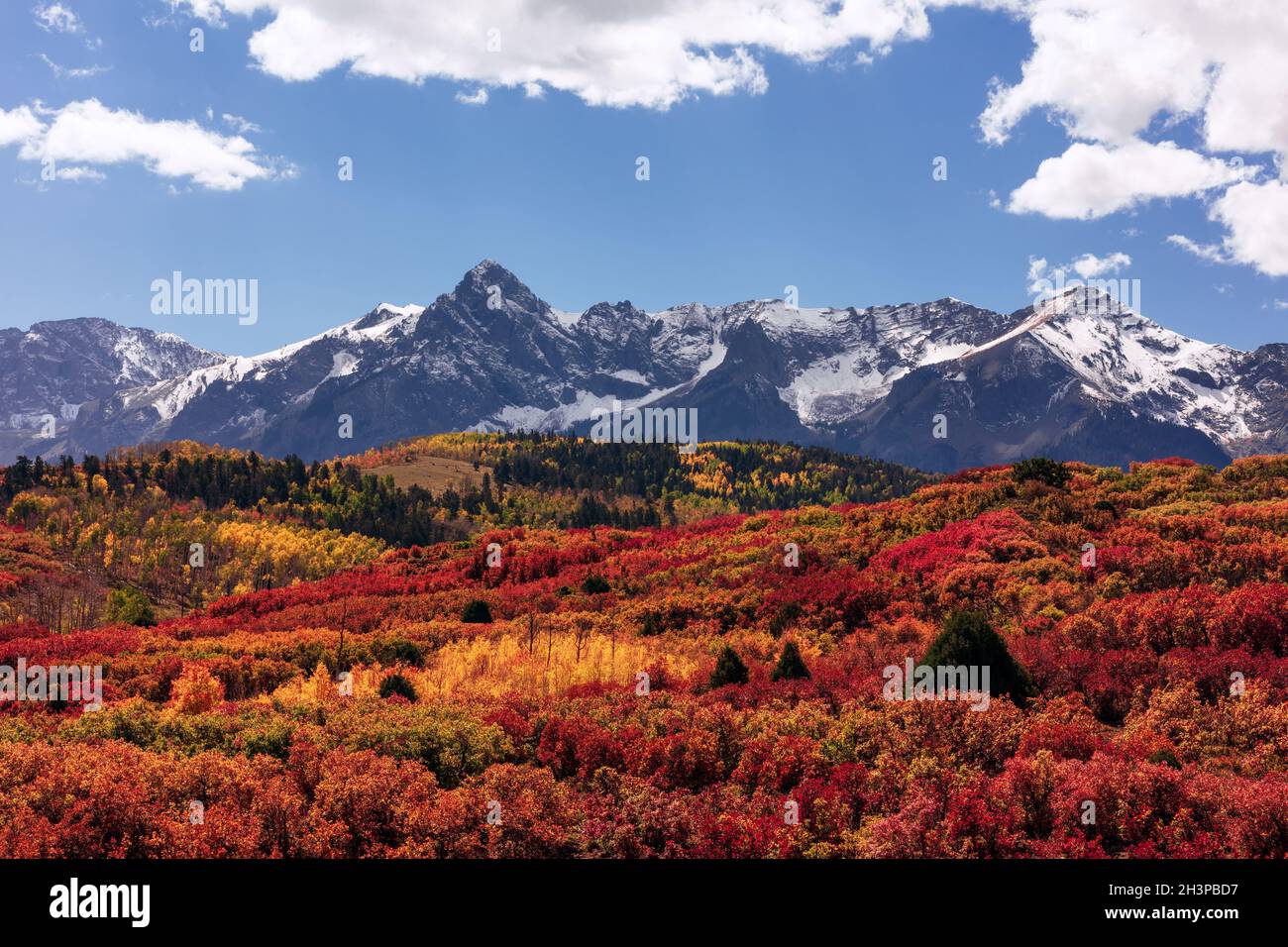 Herbstlandschaft mit lebendigen Herbstfarben an der Dallas Divide in den San Juan Mountains in der Nähe von Ridgway, Colorado. Stockfoto