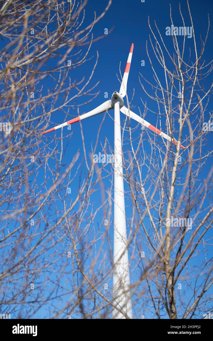 Windturbine im Norden der Stadt Magdeburg In Deutschland durch die Zweige eines Baumes gesehen Stockfoto