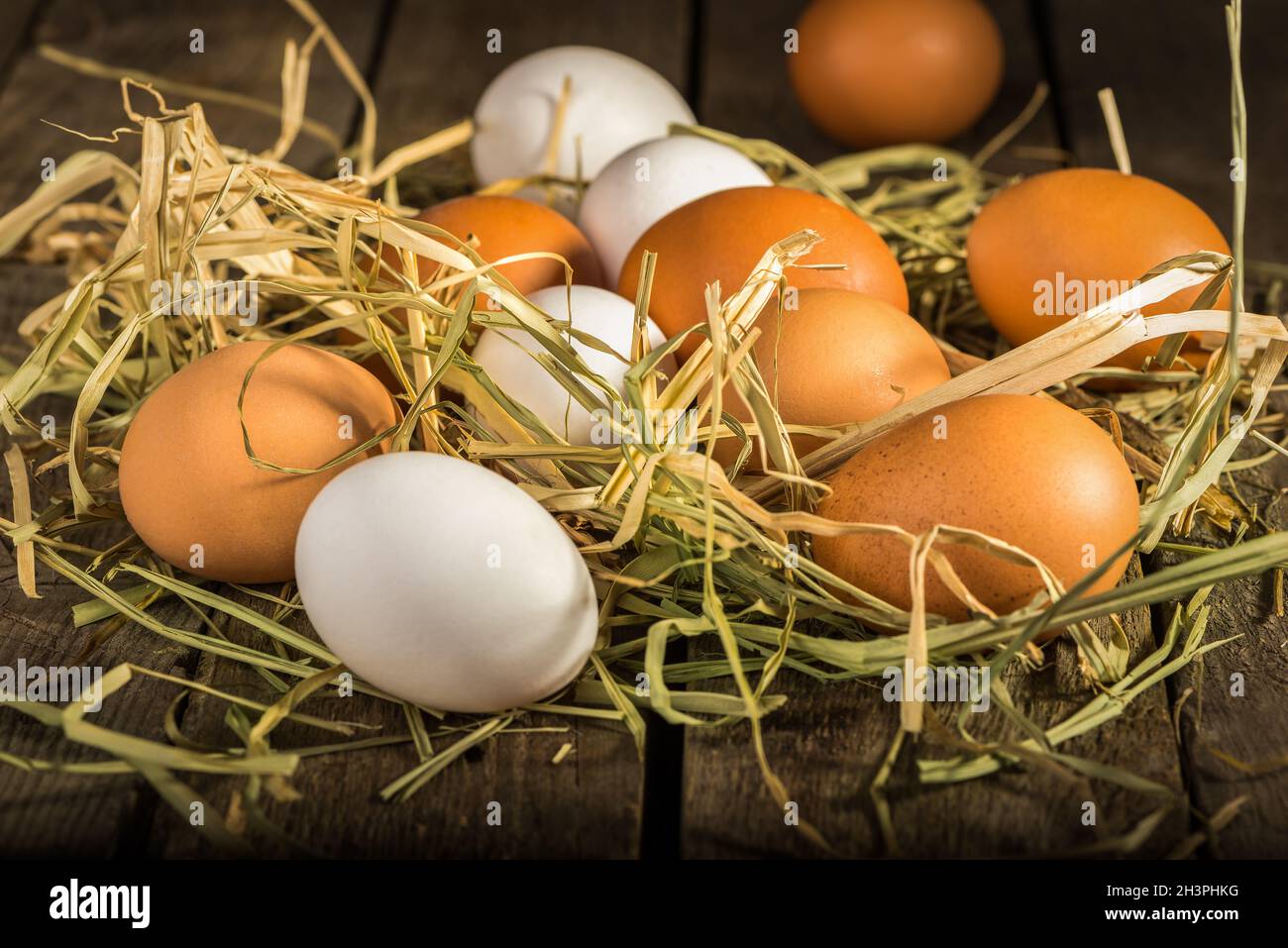 Eiern im Stroh Stockfoto