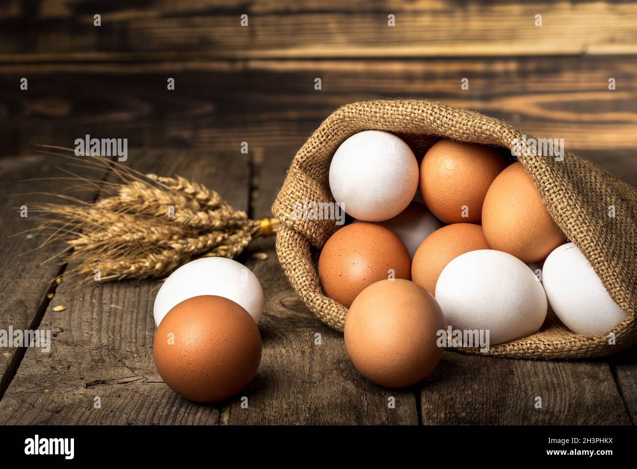 Eier im Sack Stockfoto