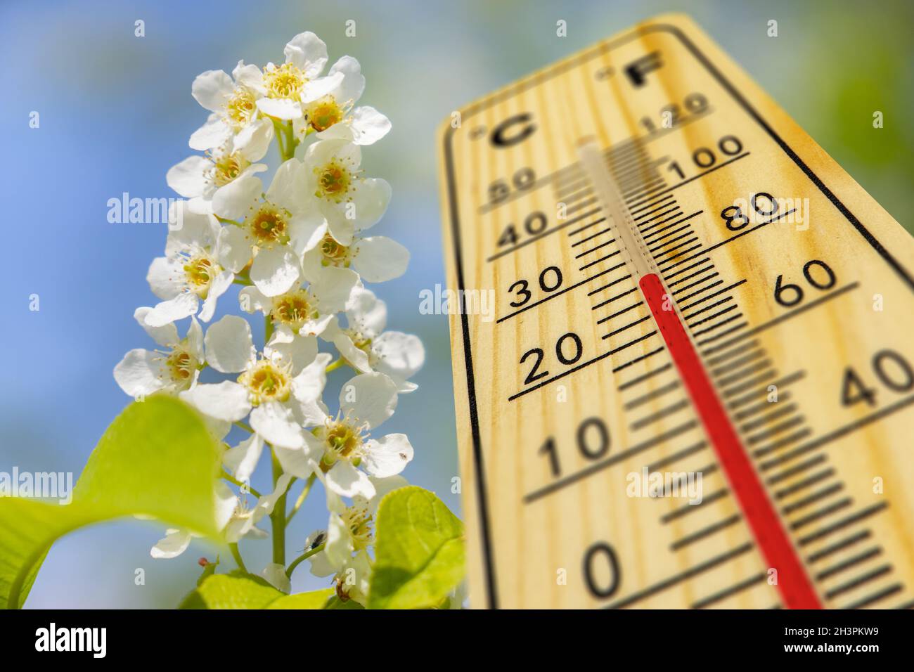 Warme Temperatur auf dem Thermometer im Frühling Stockfoto