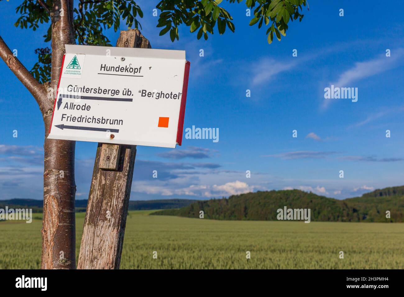 Hundekopf GÃ¼ntersberge Beschilderung durch den Harzklub Stockfoto