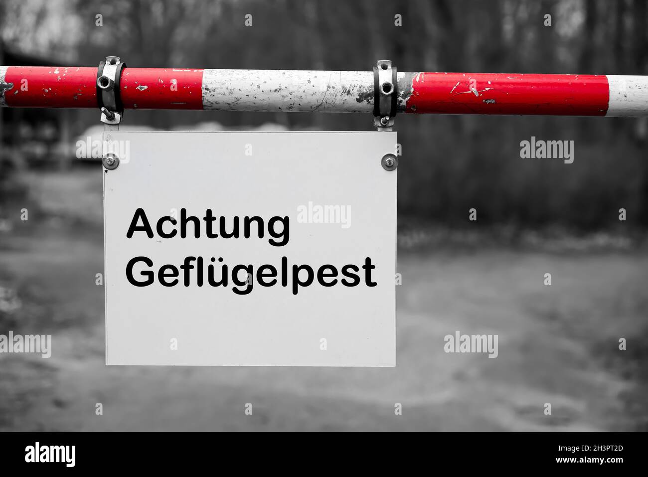 Schild am Eingang eines Bauernhofes in Deutschland mit der Aufschrift Achtung Vogelgrippe Stockfoto