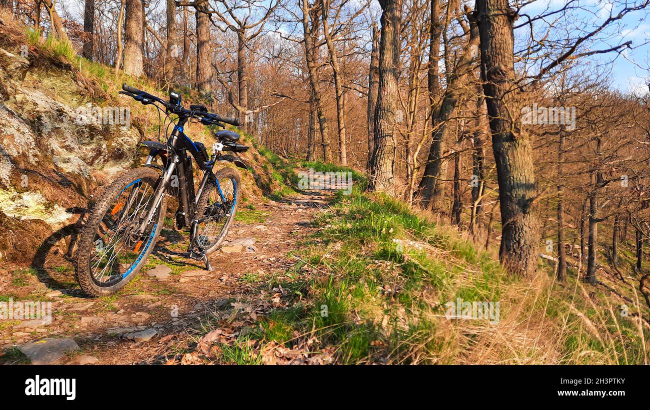 Mountainbiken in der Ferienregion Harz Selketal Stockfoto