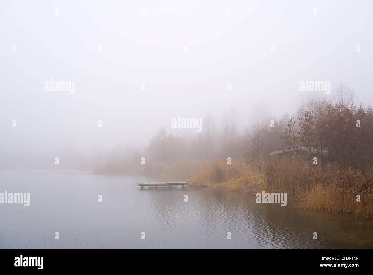 Ruhige Szene an einem einsamen See bei Magdeburg in Deutschland im Nebel Stockfoto