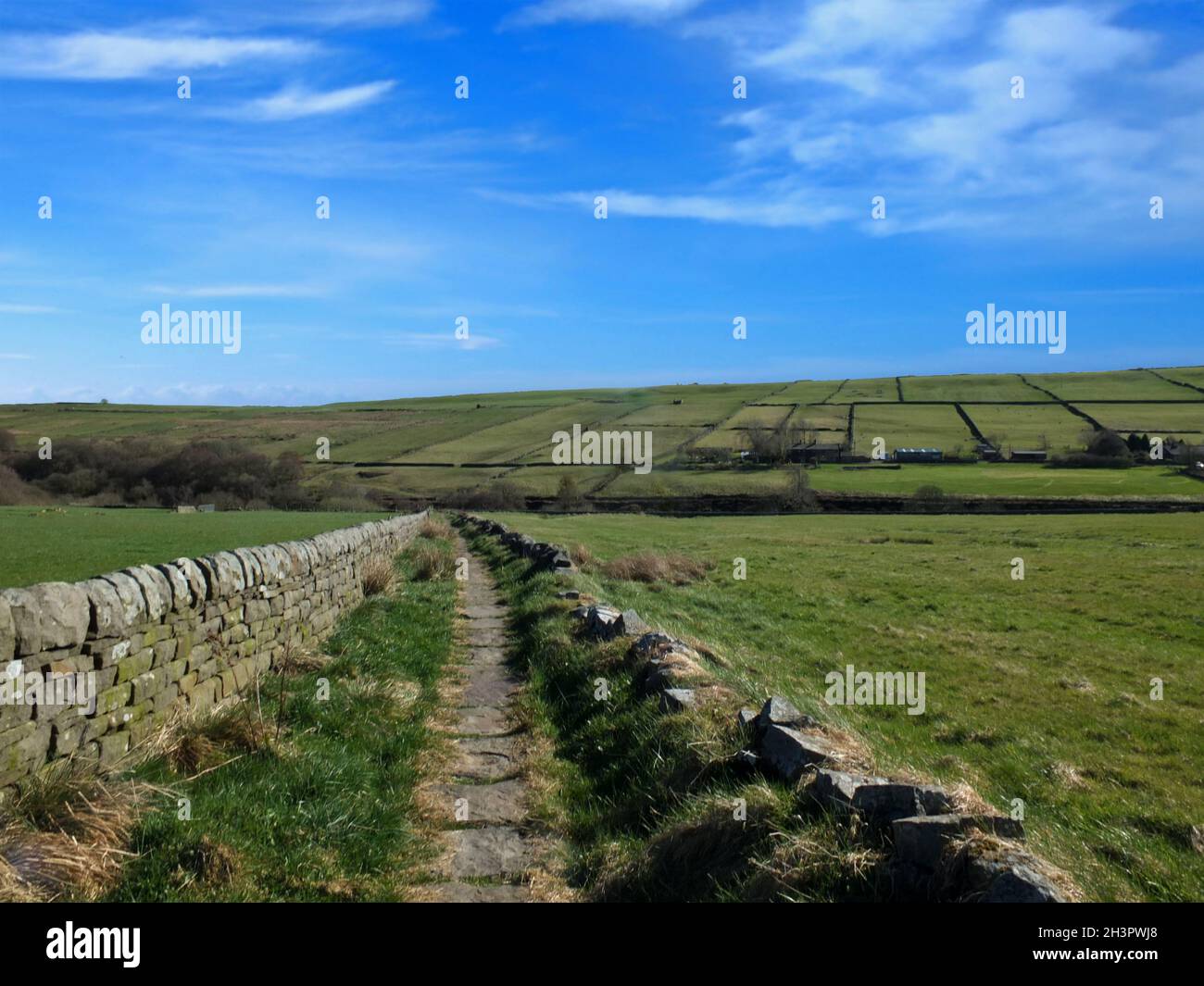 Schmale Gasse, die bergab in ein Tal in der Nähe des Dorfes colden in calderdale, West yorkshire, führt, umgeben von pennine Hills A Stockfoto