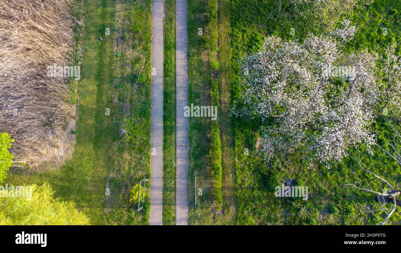 Luftaufnahme des neuen Wohngartens mit Blumen, dekorativen Bäumen und natürlichem Gras Installation mit einem kleinen Betonweg Stockfoto