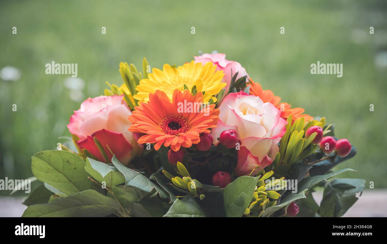 Grüße, Jahrestag oder Motherâ €™s Day Konzept: Nahaufnahme der bunten frischen Frühlingsblumen-Strauß mit Gerbera und rosa Rosen Stockfoto