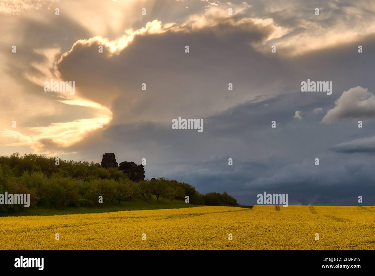 Die Teufelsmauer im Harz bei Thale Stockfoto