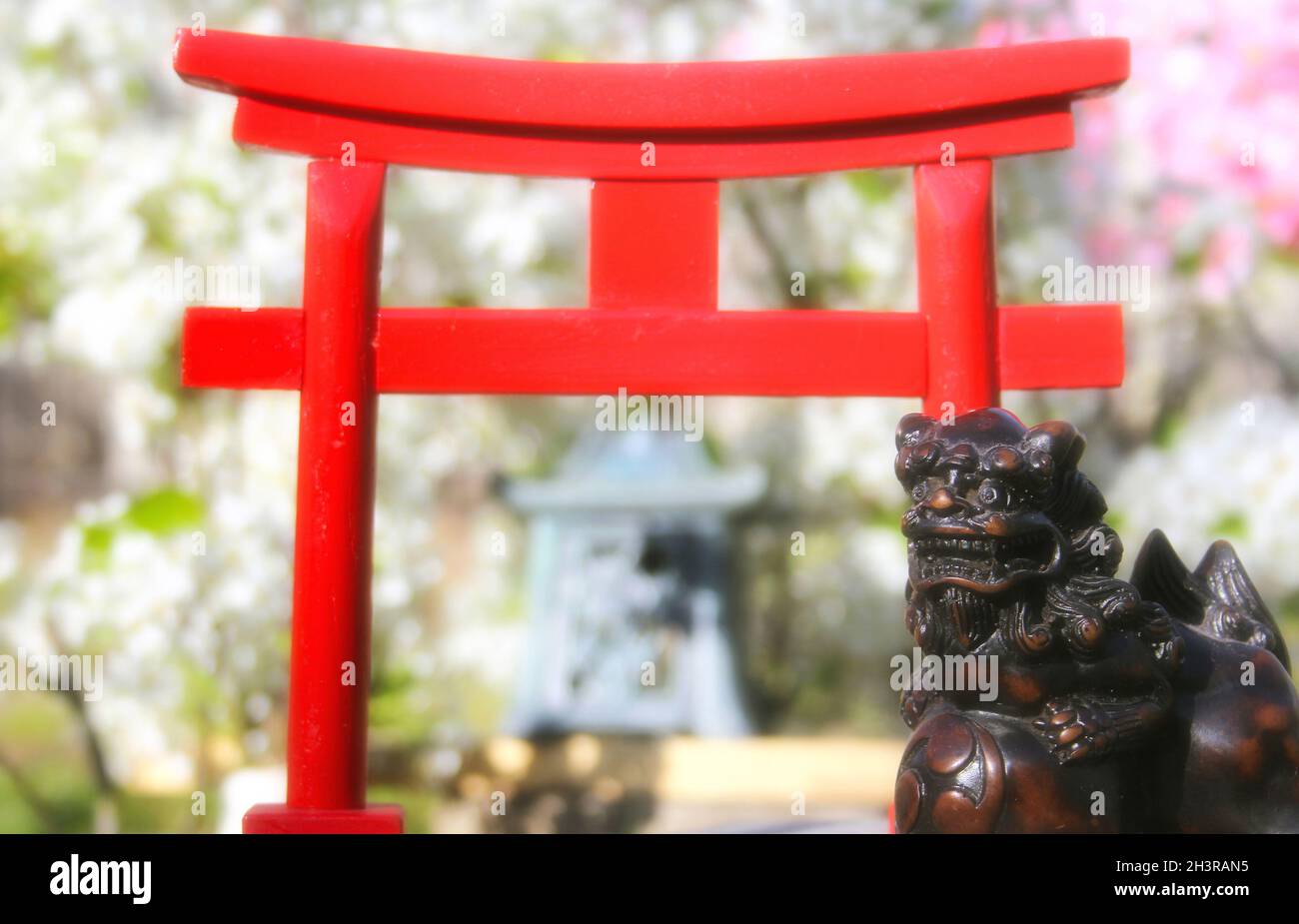 Torii-Tor mit Birnen- und Kirschblüten Stockfoto