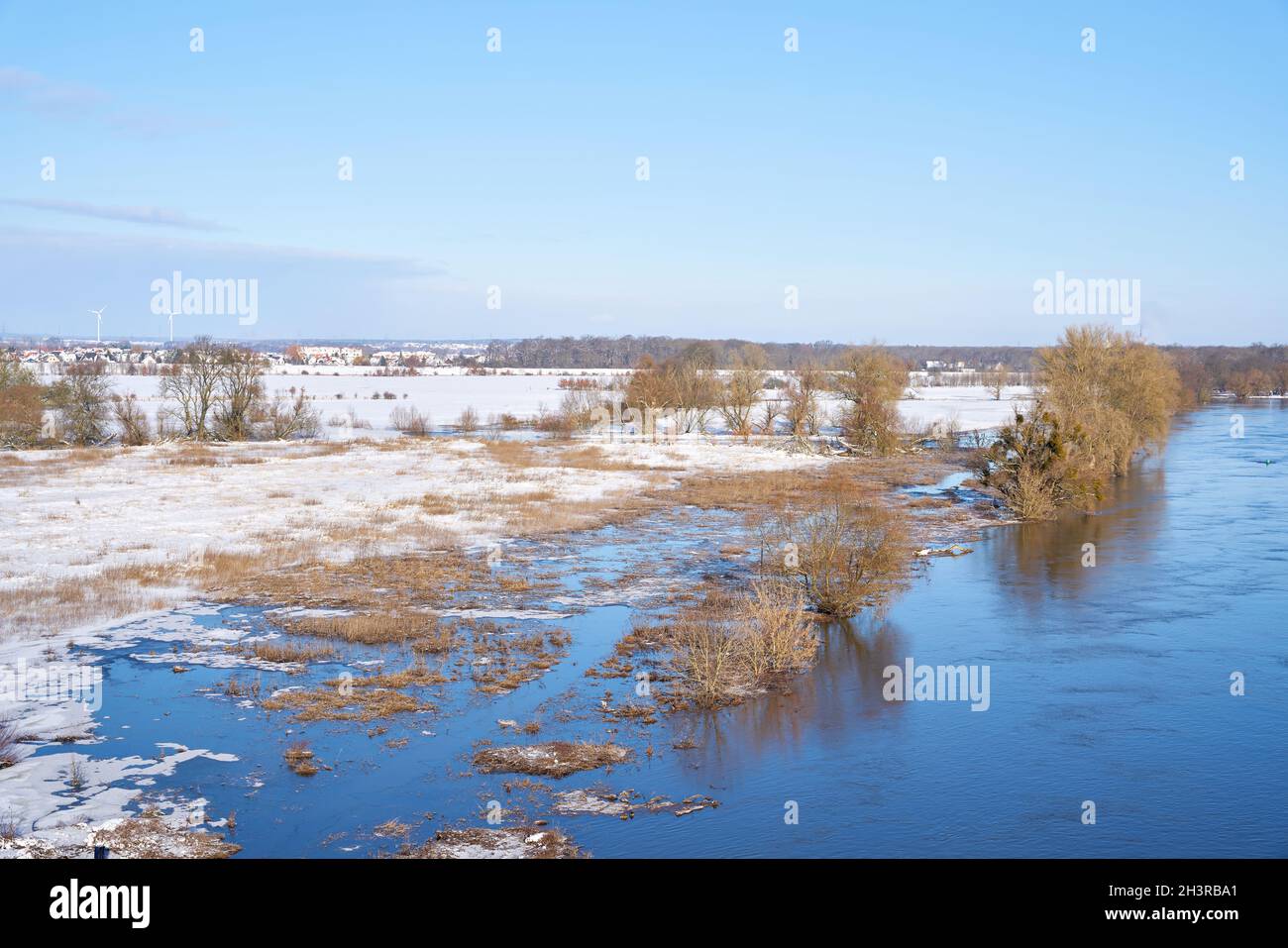 Ufer der Elbe bei Glindenberg bei Magdeburg bei Hochwasser im Winter Stockfoto