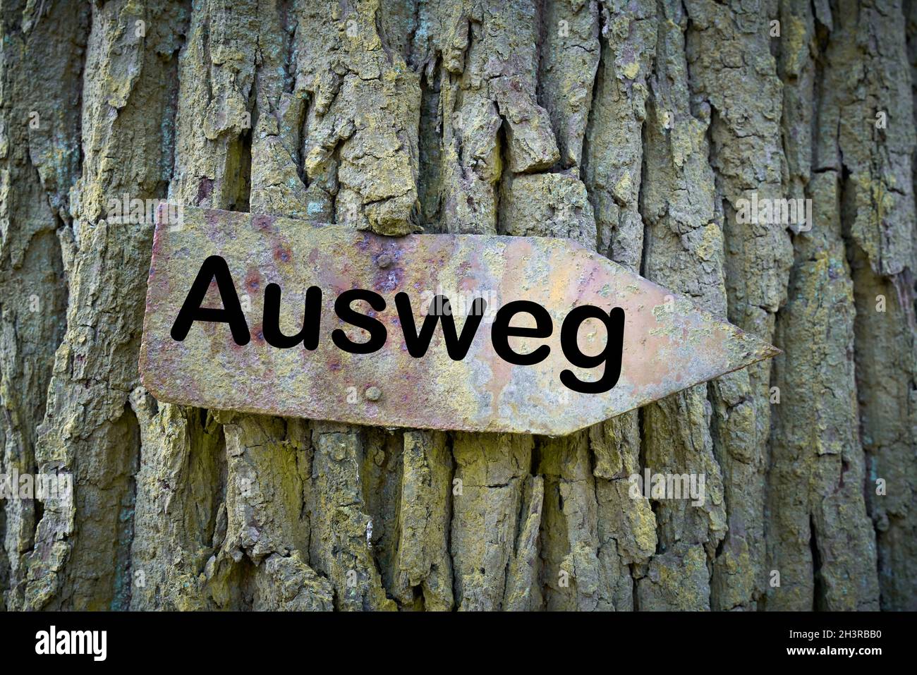 Altes rostiges Schild mit der Aufschrift Ausweg auf einem Baum Stockfoto