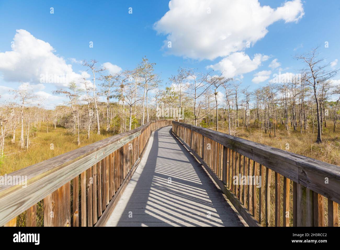 Promenade in der Everglades Stockfoto