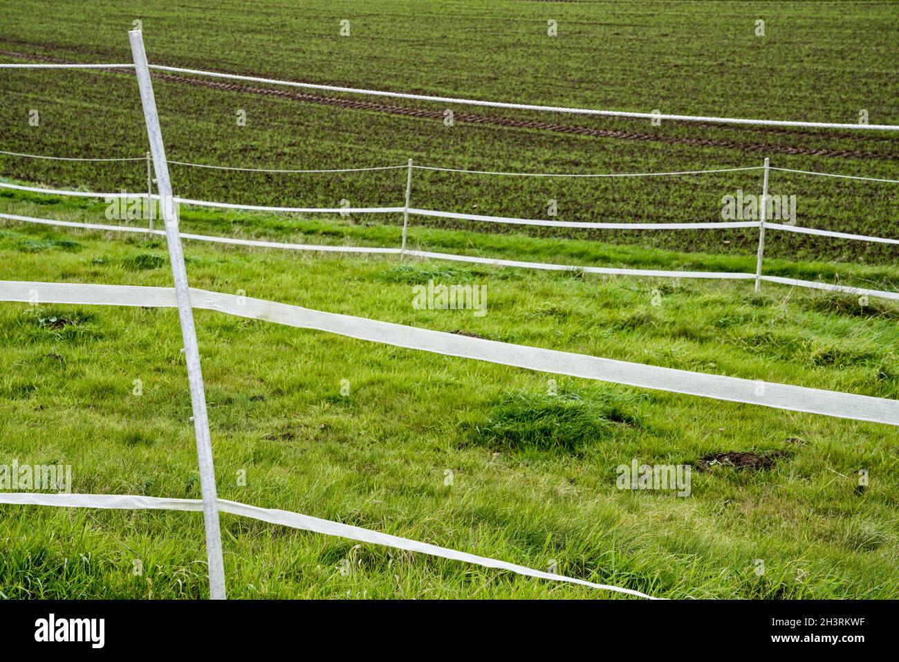 Elektrische Zäune; Wesertal; Gewissenruh; Weserbergland; Weserbergland; Hessen, Deutschland Stockfoto